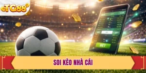 Soi Kèo Nhà Cái - Bí Kíp Đọc Vị Bảng Cược Chuẩn Xác